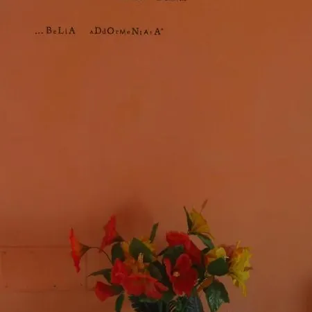 La Bella Addormentata ベッド・アンド・ブレックファスト キエーティ