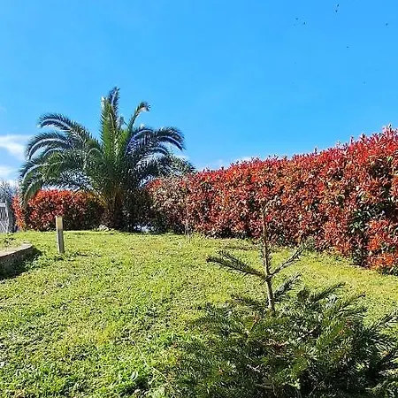 La Bella Addormentata Bed & Breakfast Chieti