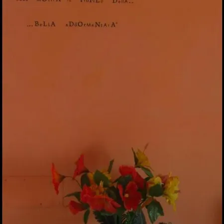 La Bella Addormentata 3*