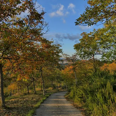 La Bella Addormentata Chieti