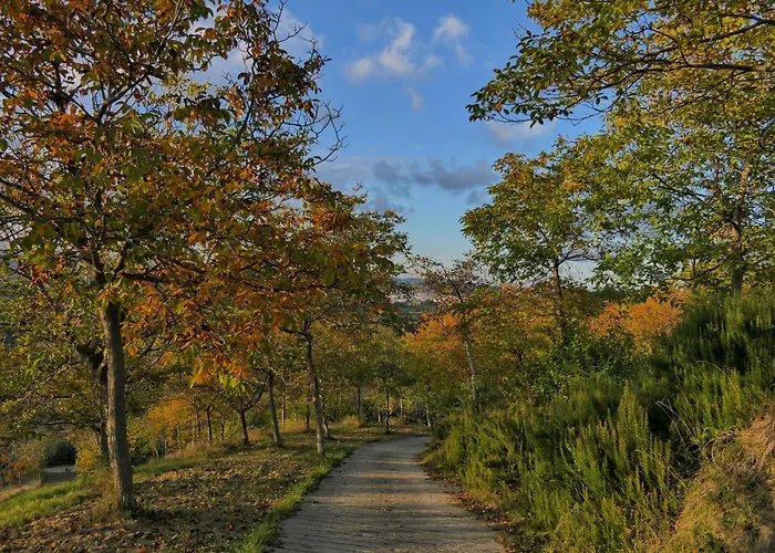 La Bella Addormentata Chieti